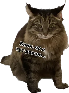 😰 emoji Дарья Легенда Telegram sticker 11 of 61