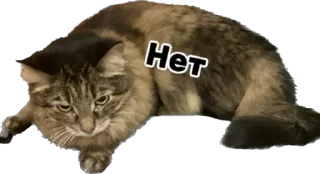 ❌ emoji Дарья Легенда Telegram sticker 19 of 61