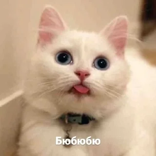 🌟 emoji Да яя Telegram sticker 20 of 50