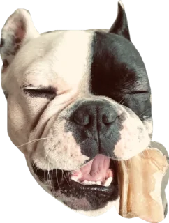 Sticker from ТОММИ