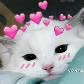🥰 emoji Любимые стикеры @Zlak_33 Telegram sticker 8 of 26