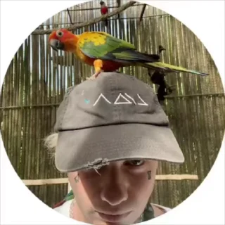 🌟 emoji блин @cmhell666wth Telegram sticker 18 of 22