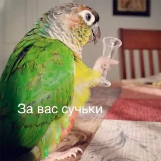 Sticker from Попуги