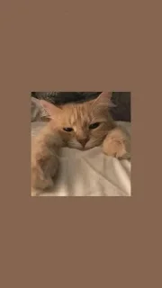 Sticker from эстетика 111