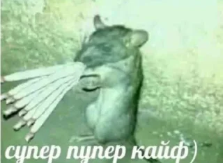 🤩 emoji стикеры для самых красивых девочек Telegram sticker 11 of 26