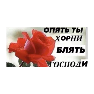 Sticker from Креветочный сок🍤