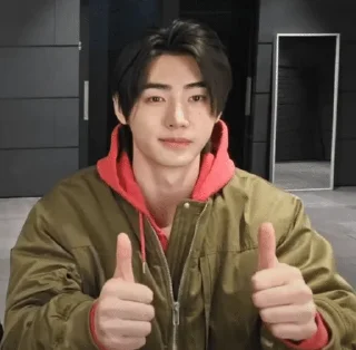 👍 emoji enhypen Telegram sticker 19 of 120