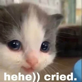 🥹 emoji ха ну ти лох Telegram sticker 14 of 44