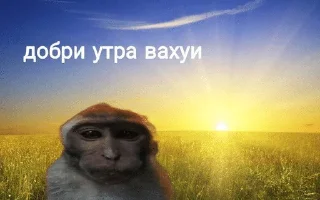 ☀️ emoji аьаээь Telegram sticker 16 of 91