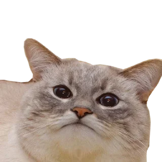 😲 emoji @TVstickers Crazy Telegram sticker 6 of 64