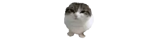 Sticker from @Cidavin_bot emotions animated 2