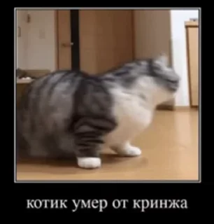 😂 emoji милки топ Telegram sticker 10 of 25