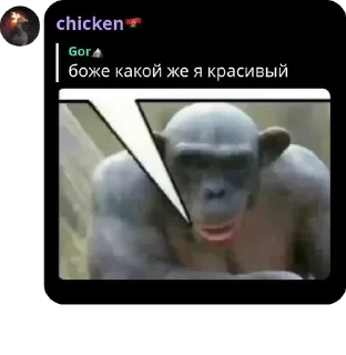 😇 emoji мешок попущенцов Telegram sticker 10 of 120