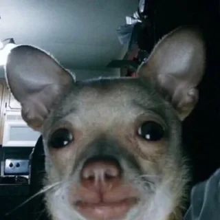 😕 emoji смешнявка Telegram sticker 14 of 86