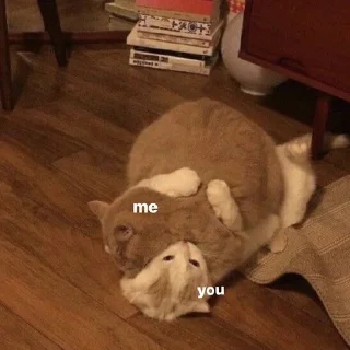Sticker from kitty