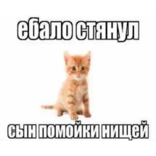 🤐 emoji дерьмище от @shit_amare Telegram sticker 23 of 59