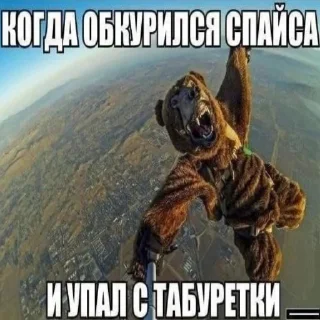 😋 emoji Пожрал говна Telegram sticker 22 of 120