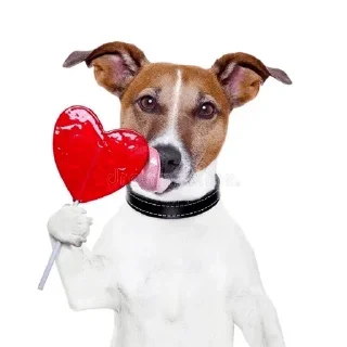 🐶 emoji Цепные псы режима Telegram sticker 16 of 119