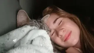 🤪 emoji Собаки Telegram sticker 8 of 31