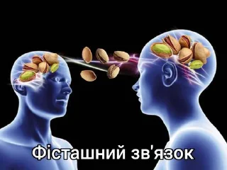 🥜 emoji А я шо знаю Telegram sticker 6 of 120