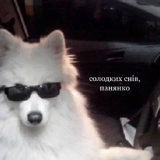 💤 emoji А я шо знаю Telegram sticker 18 of 120