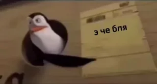 Sticker from забавный стикерпак