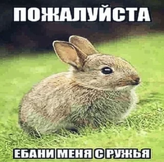 Sticker from мемы
