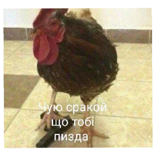 Sticker from А шо тут? А нішо