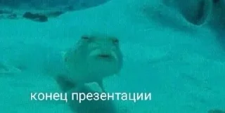 🌟 emoji а шо хотіте, це мій настрій Telegram sticker 11 of 111