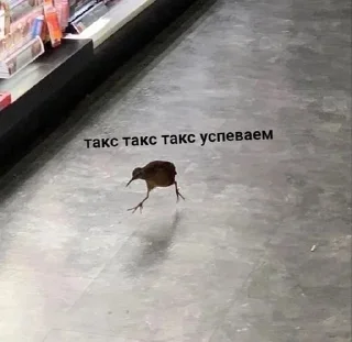 🌟 emoji а шо хотіте, це мій настрій Telegram sticker 14 of 111