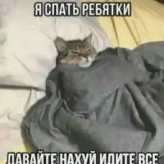 😴 emoji Михаил Пиратская Бухта Telegram sticker 14 of 25