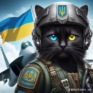 😀 emoji Українські коти Telegram sticker 19 of 23
