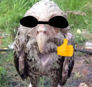 👍 emoji Солевая сова Telegram sticker 3 of 51