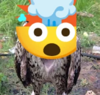 🤯 emoji Солевая сова Telegram sticker 19 of 51
