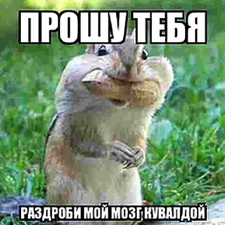 🤓 emoji ти синок балбес Telegram sticker 19 of 120