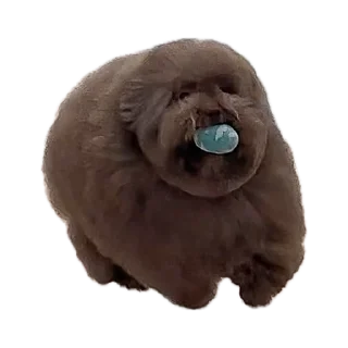 😈 emoji ebuchii Telegram sticker 10 of 17