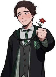 💐 emoji Tomarry, Drarry||HP by @dkxxbl Telegram sticker 5 of 89