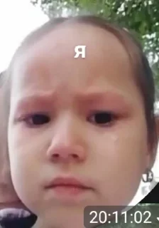 😢 emoji абобус Telegram sticker 6 of 27