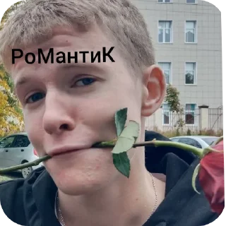 🤲 emoji Бездари и лысые Telegram sticker 18 of 20