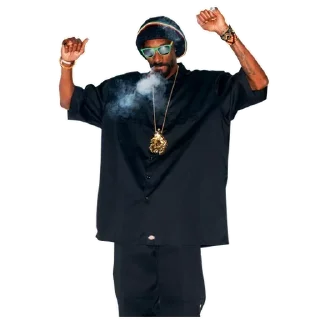 ✌ emoji cнуп Telegram sticker 16 of 25