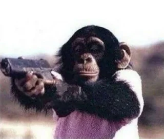 🔫 emoji monke gang Telegram sticker 9 of 9