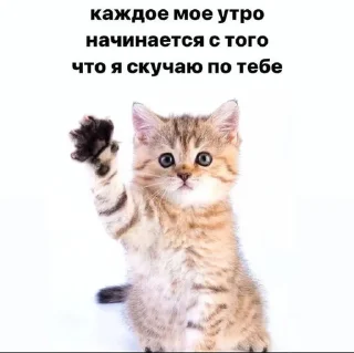 🌟 emoji хуета>>> Telegram sticker 15 of 120