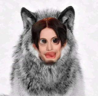 🐺 emoji Дима хуетвеев Telegram sticker 16 of 39