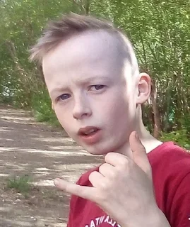 🤙 emoji Стас лох Telegram sticker 17 of 19