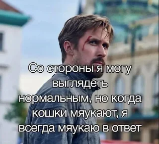 🙈 emoji Мысли сигм @Garidd Telegram sticker 23 of 55