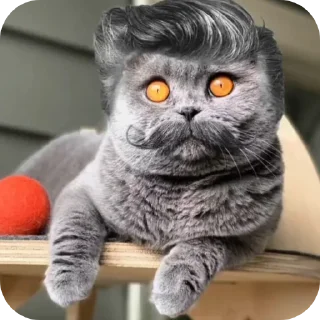 🐱 emoji folk vallley Telegram sticker 6 of 9