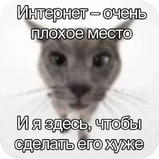 🐱 emoji На все случаи жизни Telegram sticker 24 of 120