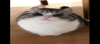 Sticker from Бананчики @MoiStikiBot