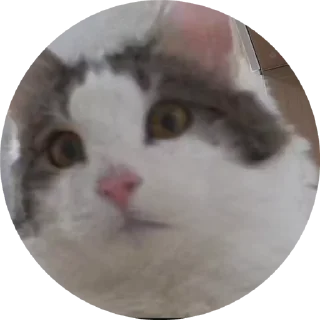 😮 emoji tisha Telegram sticker 16 of 19