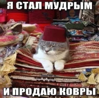 👨‍🦳 emoji =МУДРЕЦЫ= Telegram sticker 5 of 12
